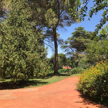 Park House Mini Διαμέρισμα Mondello Εξωτερικό φωτογραφία
