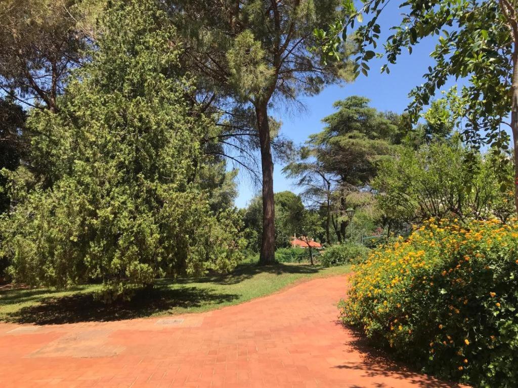 Park House Mini Διαμέρισμα Mondello Εξωτερικό φωτογραφία